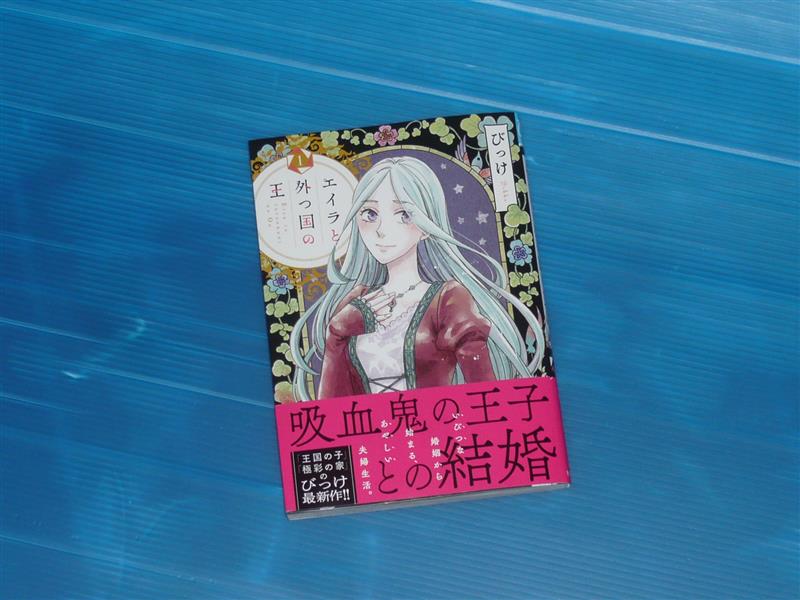 エイラと外つ国の王 1巻 ぽにゃのブログ ぽにゃ雑記 みんカラ