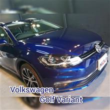 Volkswagen Golf Variant 塗装もお財布にも優しい納車日直入庫♪親水系 ガラス ボディコーティング 大阪 茨木 摂津 高槻 吹田 豊中 箕面 枚方 寝屋川 交野