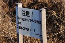 ちょっとそこまで① 東武日光線 (2020 .1) ちょっとそこまで① 東武日光線 (2020 .1)