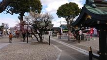 受験生がいるわけではないのだが・・・