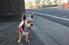 寺山公園、えばるの部屋、あんまり見んな(笑) 寺山公園、えばるの部屋、あんまり見んな(笑)