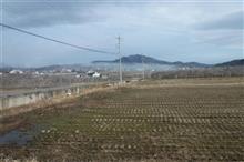   「華麗に災害復興中」活動79日目