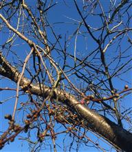 Spring is here