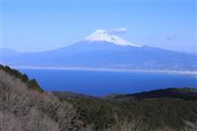 伊豆、箱根、富士山を巡る旅。その② 伊豆、箱根、富士山を巡る旅。その②