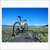 ロードバイク乗りのしあわせ度 ...