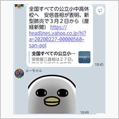 ドタバタな毎日