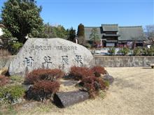 山梨 甘草屋敷のひな飾りと阿津桜