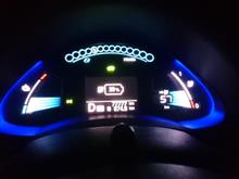 リーフ13ヶ月