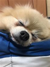 ブログ書くのはいつ以来だろう