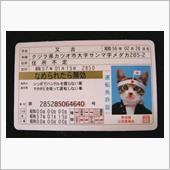 5年間無事故無違反でも必ずゴ ...