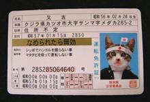 5年間無事故無違反でも必ずゴールド免許になるとは限らない。