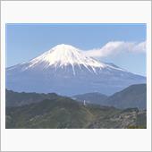 何故だ？