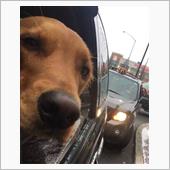 今日はイラこく事が多かったで ...