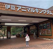 伊豆に行ってきました 伊豆に行ってきました