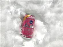 忘れた頃の暴風雪