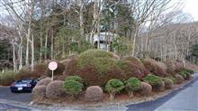 数ヶ月振りの箱根