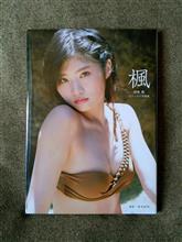 今日の一曲 ～田村英里子　太陽をさらいたい