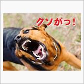 卑怯者共よ、恥を知れっ！