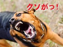 卑怯者共よ、恥を知れっ！