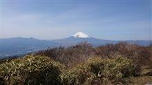 免許更新してから徘徊
