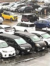 雪！   さむ〰️い   今日のさいたま市