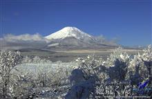 雪降る開花宣言のホワイトデー