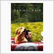 The Art of Racing in the Rain