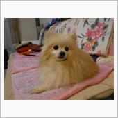 棚取り付け