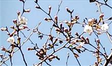 暖かい１日でしたネ･･･