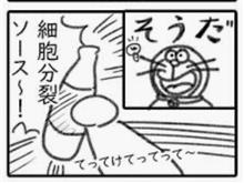 分裂