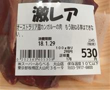 フクロウは『不苦労』と言われてますが、成長する為には苦労は必要と思うのですよ？…