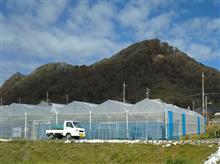 南房総で立ち寄った道の駅から見えた山