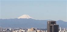 自宅待機中　春のお彼岸墓参りからの模型談義