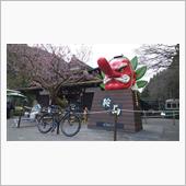 2020年初　花背峠ヒルクラ ...