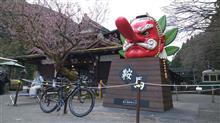 2020年初　花背峠ヒルクライムなど