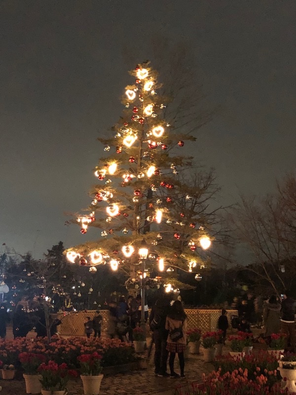 船橋アンデルセン公園の夜間開放に行ってきた Arponのブログ Arponのページ みんカラ