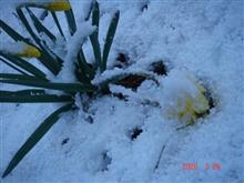 ❀　今日AM６辺りの画像　SPECIAL　❄