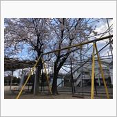 やっと春が来たよ