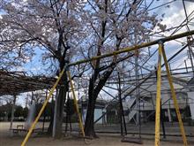 やっと春が来たよ