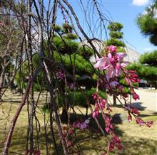 法華寺に行きました！