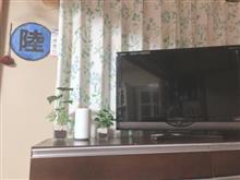 お買い物(о´∀`о) お買い物(о´∀`о)