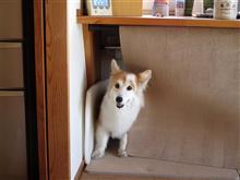 ひきこもり