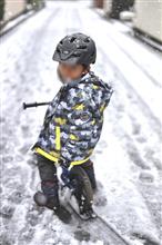 そろそろでしょうか。｜春の雪景色。｜ナレッジに極めて恵まれた世界観の認識。