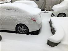 春の大雪