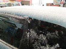 栃木県は雪化粧