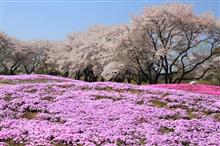 re issue〜Cherry blossom 2011〜
