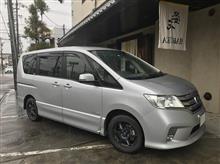 冬の悪あがき 冬の悪あがき