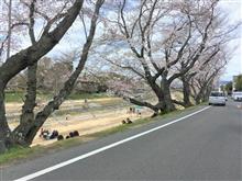 🌸花見は車窓から。そして、春は別れと出会い。