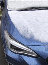 降られましたが、それほどでもなく