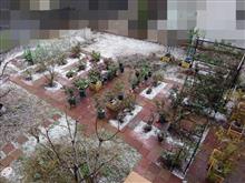雪景色 雪景色
